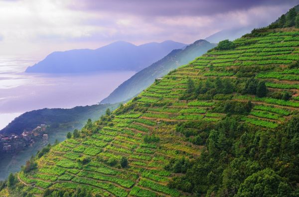 Italijos rivjera ir Pietų Prancūzijos žydrasis krantas 11d.