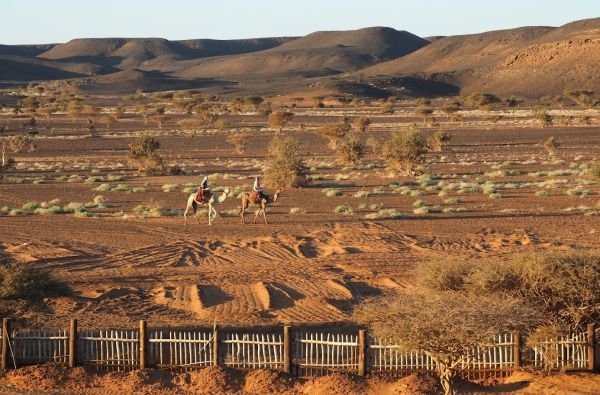 Sudanas - Džibutis. Poilsis ir pramogos prie Indijos vandenyno 15d.
