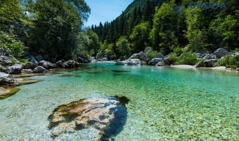 Slovėnija. Tolminkos tarpeklis