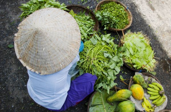 Vietnamo mozaika - visas Vietnamas vienos kelionės metu su poilsiu prie Pietų Kinijos jūros 15d.