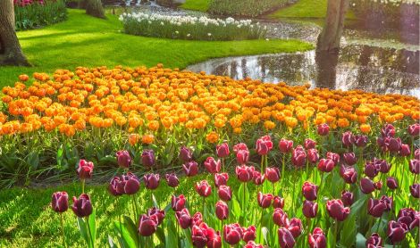 Olandija. Arceno pilies sodai.