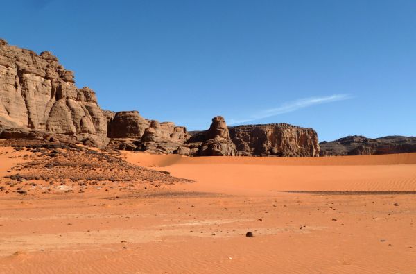 SACHARA su Alžyro prieskoniu 14d.