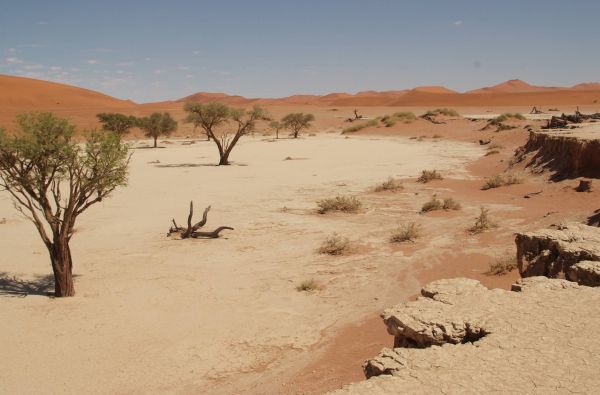 Namibija - „šypsena Afrikos veide“. Laukinės gamtos nuotykių safaris 13d.