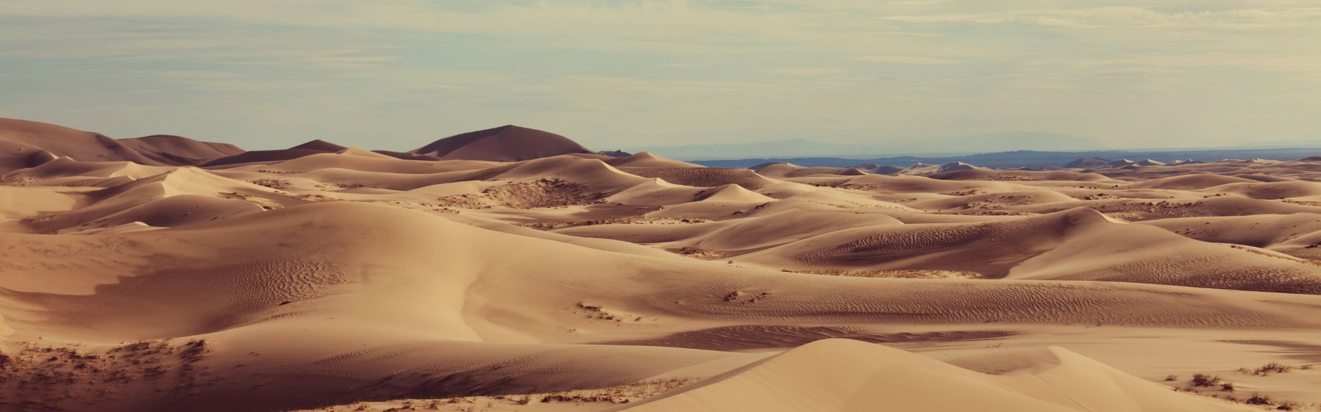Naudinga informacija apie Gobio dykumą