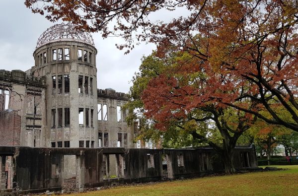 Japonija - sakuros žiedas