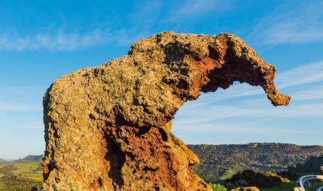 Sardinija. Dramblio uola.