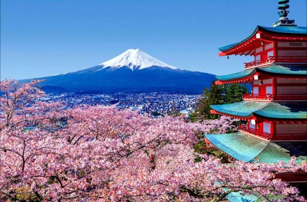 JAPONIJA – nuo meditacinių peizažų iki futuristinių megapolių. Ryto saulės, technikos naujovių, šventyklų ir sakurų kraštas 12d.