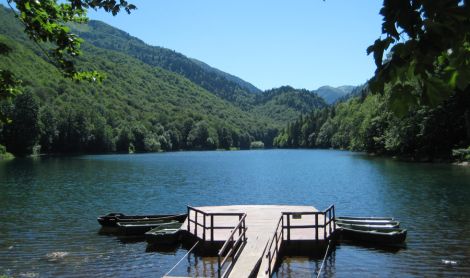 Juodkalnija. Biogradska Gora nacionalinis parkas.