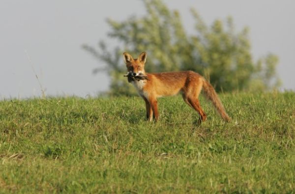 Atrask Zarasus – mėlynųjų ežerų kraštą 1d.