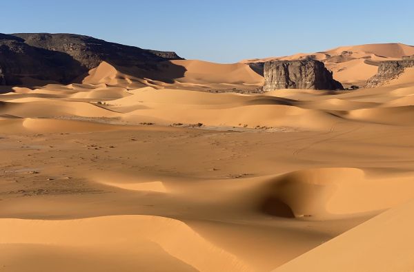 ALŽYRAS – dar nenugludinta Šiaurės Afrikos mozaika su SACHAROS PRIESKONIU 12d.