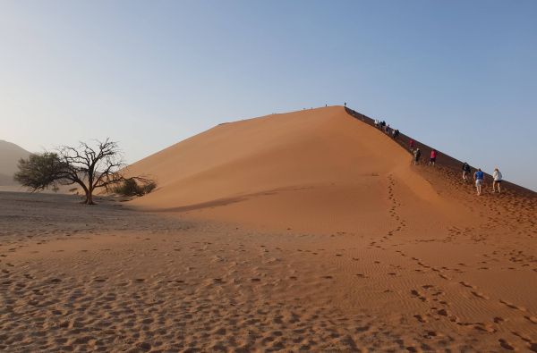 Namibija - „šypsena Afrikos veide“. Laukinės gamtos nuotykių safaris 13d.
