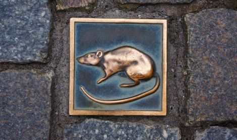 Vokietija. Hamelnas.