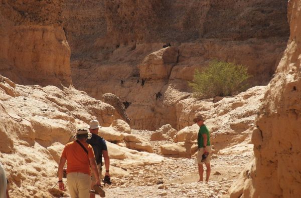 Namibija - „šypsena Afrikos veide“. Laukinės gamtos nuotykių safaris 13d.