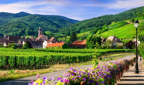 Prancūzija. Elzasas.