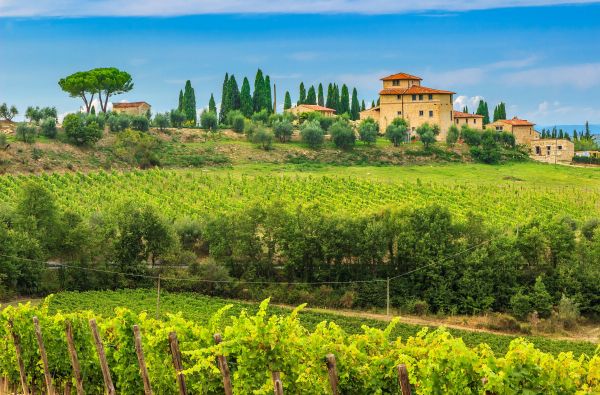 Kelionė į Italiją. Saulėtoji Toskana ir Elbos salos žavesys 10d.