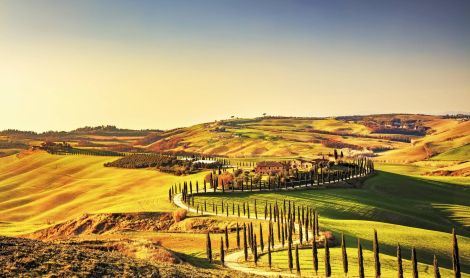 Italija. Chianti.
