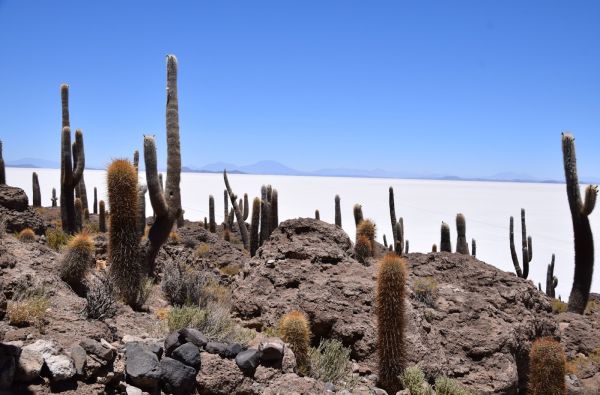 Čilė - Bolivija - Argentina, aplankant Ugnies Žemę. Kelionės pratęsimas Velykų saloje 18d. (23d.)