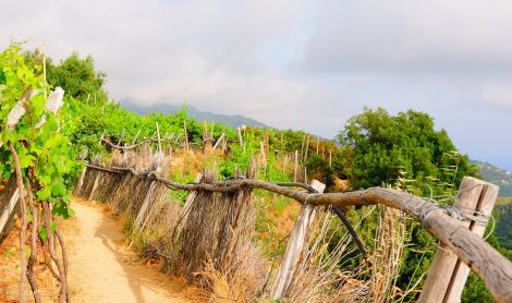 Italija. Cinque terre.