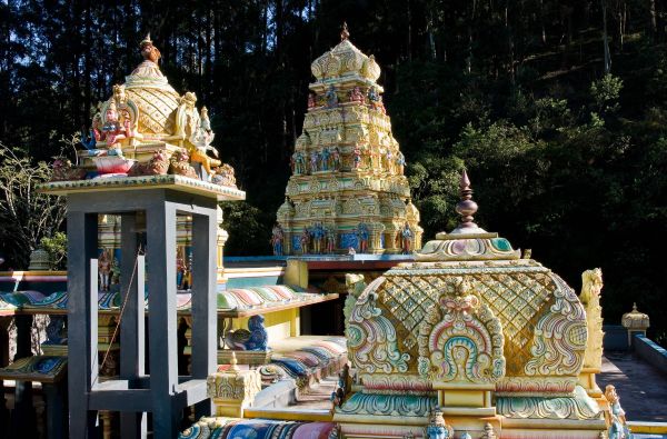 Šri Lanka – Indijos vandenyno perlas, dieviškasis Edeno sodas su poilsiu kurorte prie Indijos vandenyno 13d.