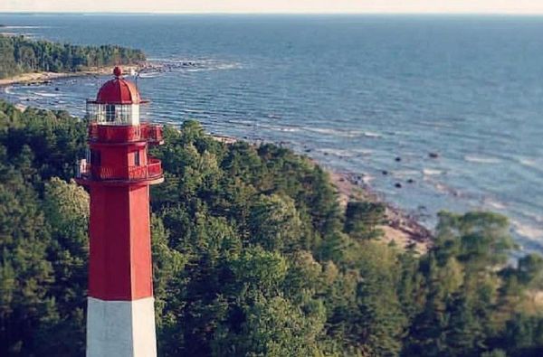 Estijos gamtos lobynas 4d.