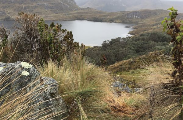 Kolumbija - Ekvadoras. Galapagų salos. Lotynų Amerikos paslaptis 17d.