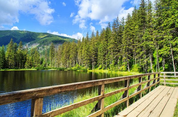 Slovakijos Tatrai 6d.