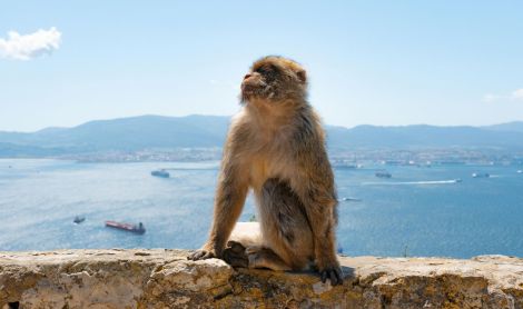 Gibraltaras.