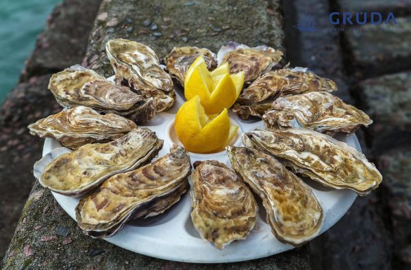 Prancūzija. Luaros slėnio pilys 9d.