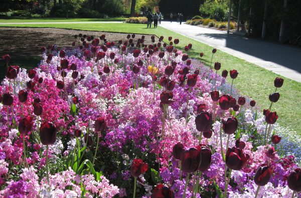 Didysis GRŪDOS turas po Naująją Zelandiją – gražiausią Pasaulio valstybę ir Fidžio salas - rojų žemėje 18d.