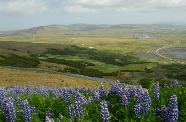 Islandija - ledo ir ugnies žemė, aplankant Grenlandiją 11d. (13d.)