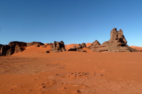 SACHARA su Alžyro prieskoniu 14d.