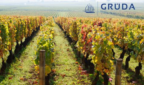 Prancūzija. Beaune.