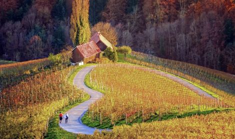 Slovėnija. Mariboras.