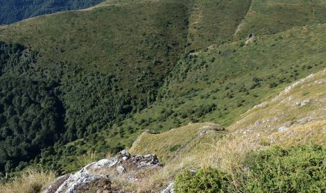 Bulgarija. Stara Planina kalnai.