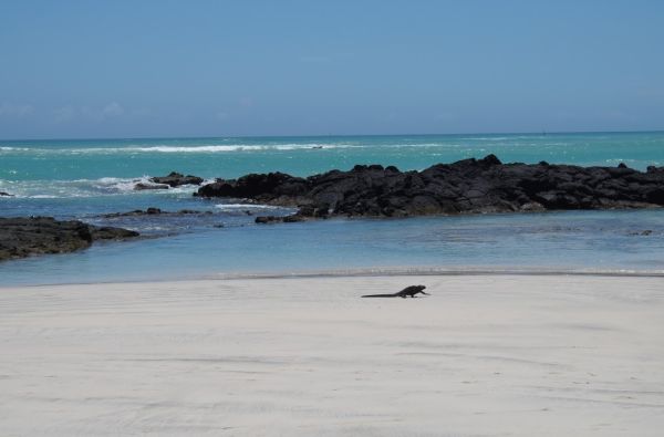 Kolumbija - Ekvadoras. Galapagų salos. Lotynų Amerikos paslaptis 17d.