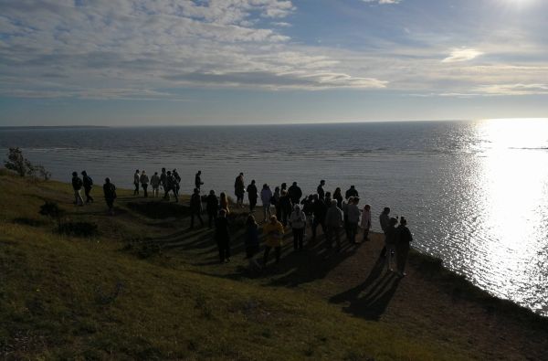 Estijos salų grožis ir senasis Talinas 3d.