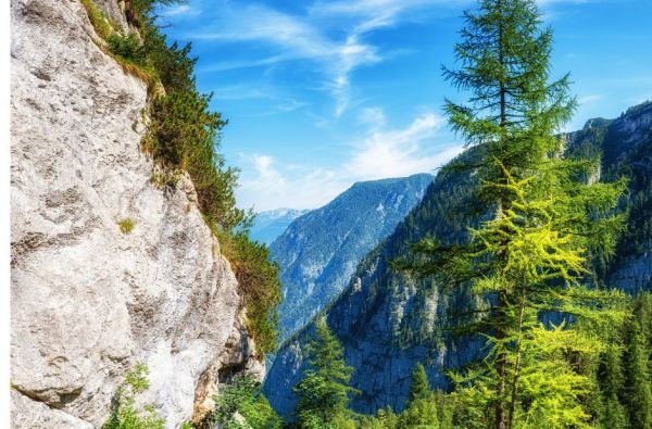 Zalcburgas ir Austrijos Alpės 4d.