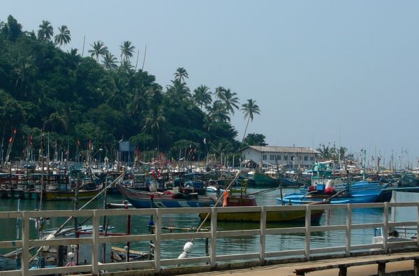 Šri Lanka – Indijos vandenyno perlas, dieviškasis Edeno sodas su poilsiu kurorte prie Indijos vandenyno 13d.