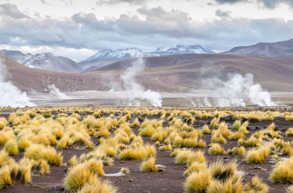 Visa Čilė nuo Atakamos dykumos iki Patagonijos ledynų, aplankant Velykų salą 17d.