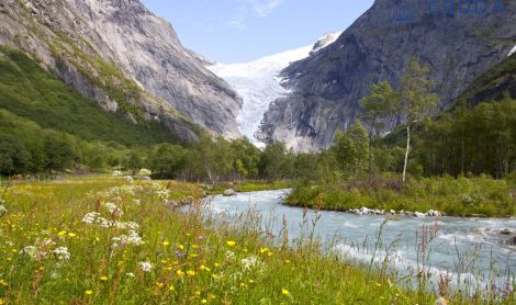 Norvegija. Josterdalio ledynas.