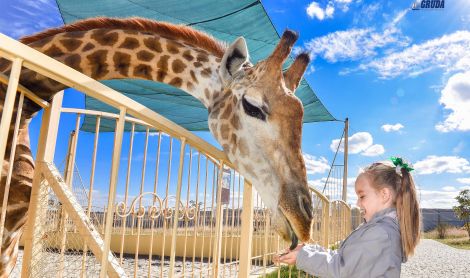 Vokietija. Serengečio parkas.