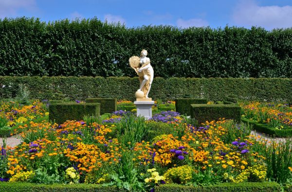 Gėlių paradas Olandijoje 6d.