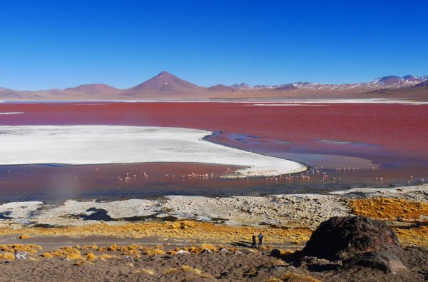 Peru - Bolivija, aplankant Ujūnio druskos „sniegynus“, Vaivorykštinius kalnus ir Amazonės baseino džiungles 18d. (21d.)