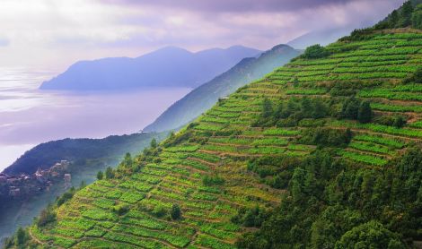 Italija. Cinque terre.