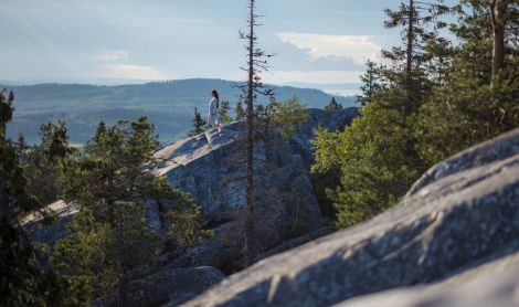 Suomija. Koli kalva.