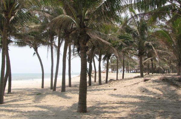 Vietnamo mozaika - visas Vietnamas vienos kelionės metu su poilsiu prie Pietų Kinijos jūros 15d.