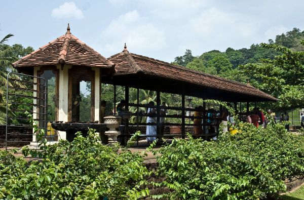 Šri Lanka – Indijos vandenyno perlas, dieviškasis Edeno sodas su poilsiu kurorte prie Indijos vandenyno 13d.