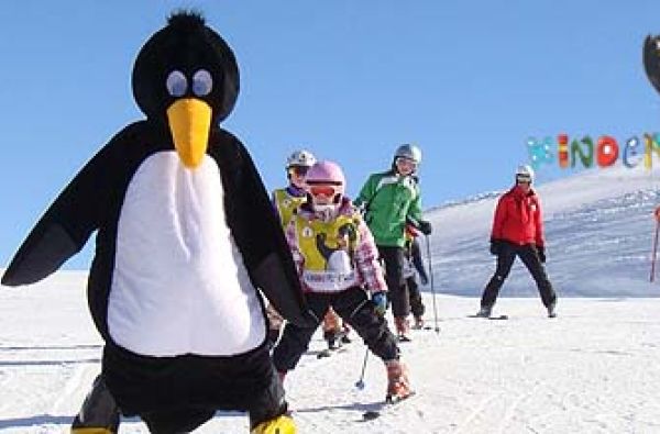 Slidinėjimas Austrijoje (Safaris TOP 11 regionų. N.Metai)