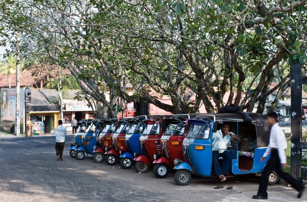 Šri Lanka – Indijos vandenyno perlas, dieviškasis Edeno sodas su poilsiu kurorte prie Indijos vandenyno 13d.