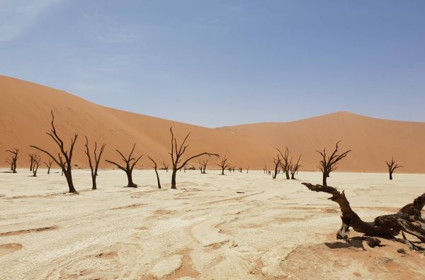 Namibija - „šypsena Afrikos veide“. Laukinės gamtos nuotykių safaris 13d.